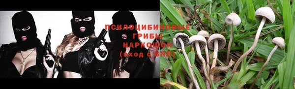индика Киренск