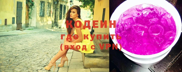 индика Киренск
