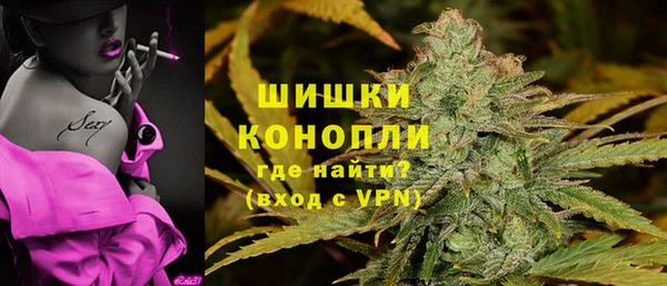 индика Киренск