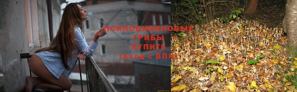 гидропоника Киреевск