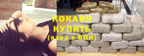 индика Киренск